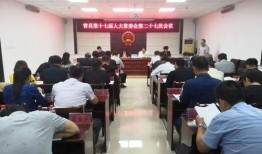 青县爆料最新新闻网友,网友热议事件背后的真相揭晓