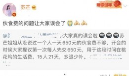 娱乐圈明星爆料文案短句,明星幕后故事大揭秘