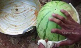 吃瓜网菜网红叫什么名字,揭秘吃瓜网菜网红的神秘面纱