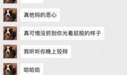 飞行员老婆爆料视频播放,揭秘空中飞行的真实一面