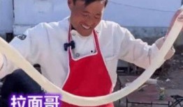 老雉被人爆料视频播放,揭秘幕后真相与网络舆论的漩涡