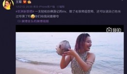 王家大姐爆料视频大全,揭秘幕后真相