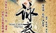 电视剧咏春在线观看,拳影江湖，热血青春