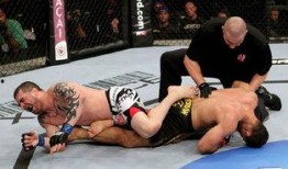 帕丽亚雷斯在线观看,揭秘神秘世界的在线探秘之旅