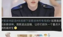 蔡徐坤事件爆料视频,揭秘网络暴力与真相的碰撞