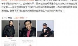 媒体爆料周文强视频,揭秘其神秘生活与商业帝国