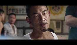 树大招风手机在线观看,揭秘网络风云背后的惊心动魄