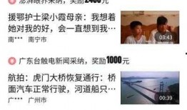 怎么看爆料视频有收益,如何从爆料视频中获利