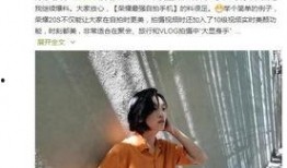 老雉被人爆料视频播放,揭秘幕后真相与网络舆论的漩涡