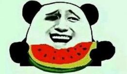 免费吃瓜的套路,揭秘娱乐圈幕后故事，带你领略明星真实生活