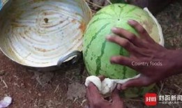 吃瓜网菜网红叫什么名字,揭秘吃瓜网菜网红的神秘面纱