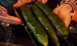 网红吃瓜小妙招,揭秘娱乐圈幕后真相