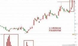 最新爆料井喷股,揭秘最新爆料背后的投资机遇