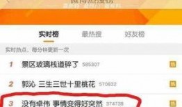卓伟爆料黄家驹道歉视频,卓伟爆料背后的感人故事