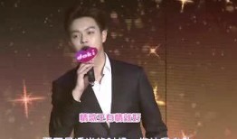 成都灵魂歌手爆料视频网,网爆视频背后的音乐传奇
