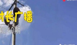 解忧大队爆料视频下载,揭秘爆料视频背后的故事