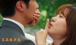 高品格的单恋在线观看,一场跨越时空的纯爱之旅