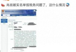 娱乐圈虚假营销爆料,揭开明星背后的商业秘密