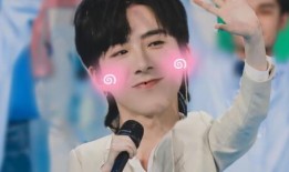 记者爆料刘宇宁视频,揭秘背后惊人真相