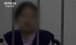 湖南女子爆料事件始末视频,真相与争议交织的舆论漩涡