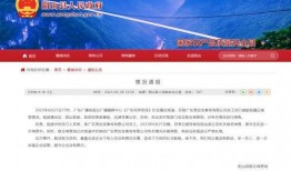 广东清远爆料新闻