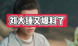 刘大锤爆料了哪些新闻啊,盘点那些引发热议的新闻事件