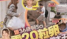 爆料三太子家暴视频,家庭暴力事件引发社会关注