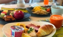 娱乐吃瓜酱素食小说,揭秘吃瓜酱笔下的素食小说