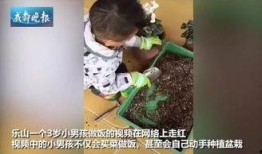 种花王大爷爆料视频大全,揭秘种花王大爷爆笑视频背后的花艺人生