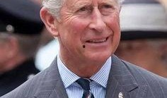 英国查尔斯爆料视频大全,揭秘王室不为人知的秘密