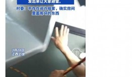 深圳网友陈女士爆料视频,深圳网友陈女士爆料视频引发热议