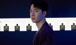 乐华娱乐王一博爆料,乐华娱乐背后的故事与成长