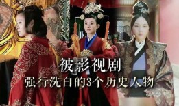 历史人物爆料视频大全集,历史人物爆料视频大全集精彩回顾