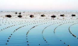 海洋在线观看,在线观看带你领略蓝色世界的魅力