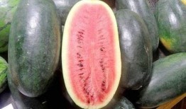 推特网红黑料吃瓜视频免费观看,免费观看吃瓜视频背后的真相！”