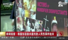 在线人与视频免费观看,在线观看与互动体验新篇章