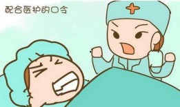 浪姐编导爆料了吗视频,幕后故事大公开