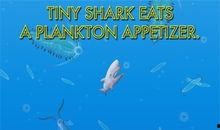 海洋在线观看,在线观看带你领略蓝色世界的魅力