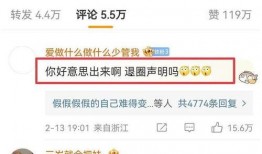 台湾爆料陈飞宇视频播放,揭秘台湾爆料背后的真相