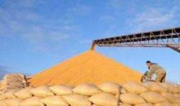 粮仓最新爆料,最新爆料揭示粮食储备背后的惊人真相