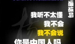 缅甸骗局爆料视频曝光,视频曝光惊人内幕