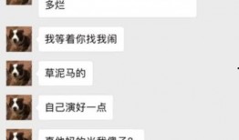 飞行员老婆爆料视频播放,揭秘空中飞行的真实一面