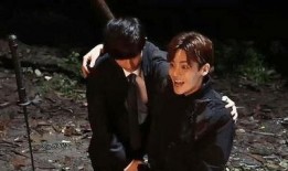 方人传在线观看,穿越时空的传奇人生在线观看之旅