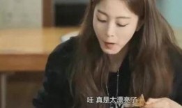 客人 在线观看,跟随客人在线探索电影世界