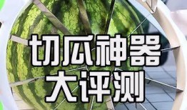 吃瓜拍照神器推荐免费版,轻松拍出网红效果