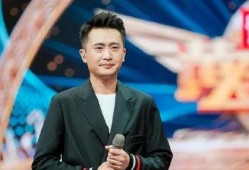 杨帆爆料妻子视频大全集,揭秘背后真相与情感纠葛