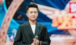 杨帆爆料妻子视频大全集,揭秘背后真相与情感纠葛