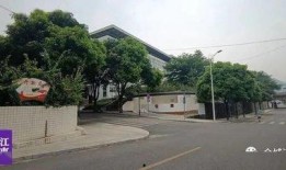 网友爆料视频金城江,金城江网友爆料视频引发热议