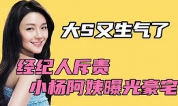 小杨爆料大招视频下载,小杨独家爆料下载攻略