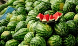 网红吃瓜爆料黑科,黑科背后的惊人真相